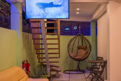 Hostal Turtle Maldives