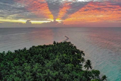 Hostal Turtle Maldives