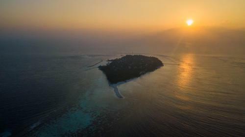 Hostal Turtle Maldives