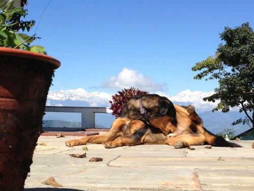 Villa Sanctuarydhulikhel Nepal
