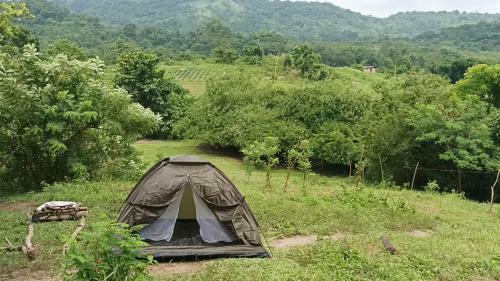 Bctv Leisure Camp