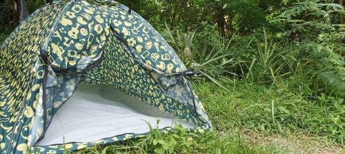 Bctv Leisure Camp