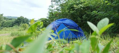 Bctv Leisure Camp