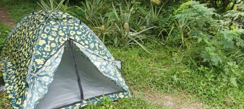 Bctv Leisure Camp