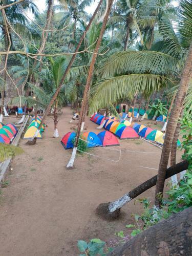 Tent By The Bay - Alibaug Beach Camping