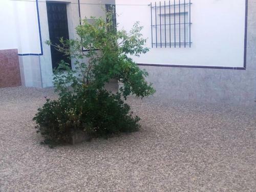 Apartamento Cerca Del Mar I
