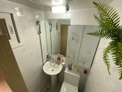 Hostal Pungnam House