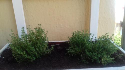 Apartamento Piso En C�rdoba Emili�s House