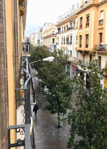 Apartamento Entre Magnolios