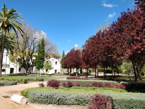 Apartamento El Rinc�n De Orive