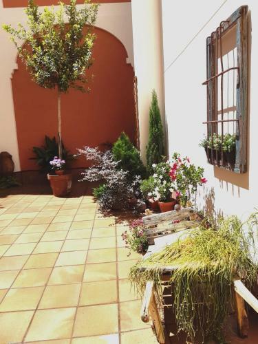 Apartamento Ziza