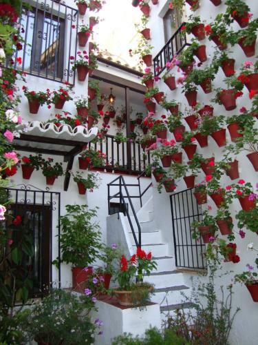 Apartamento El Balc�n De La Juderia