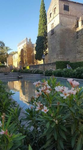 Apartamento Centro C�rdoba