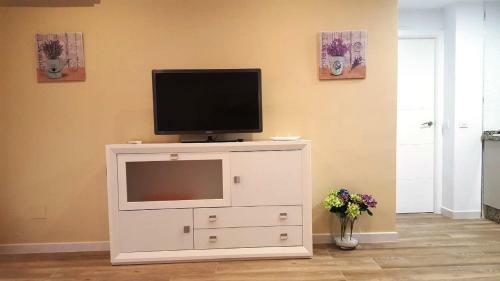 Apart. C�ntrico San Miguel