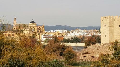 Apartamento Mezquita Con Cochera