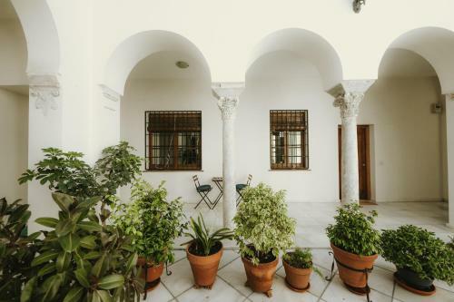 Luxury & New Apartment Corredera