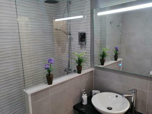 Apartamento Viana-elite Parking Wifi