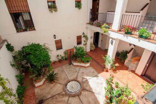Apartamentos La Ribera C�rdoba