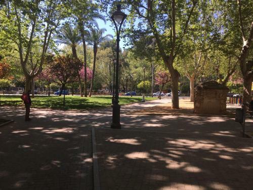 Apartamento Conde De Vallellano