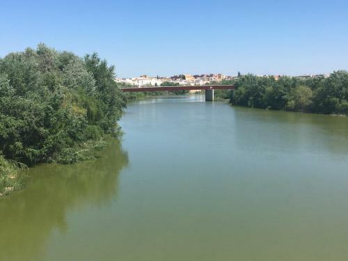 Apartamento Conde De Vallellano