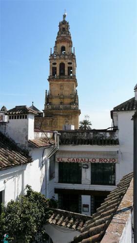 Apartamento Lola5