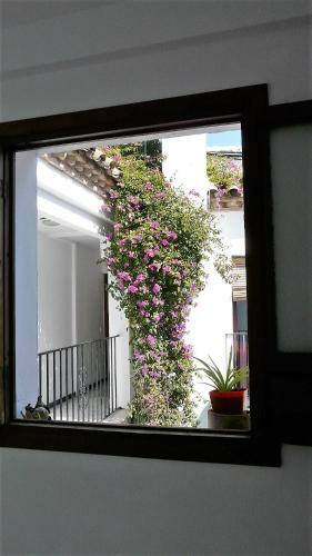 Apartamento Lola5
