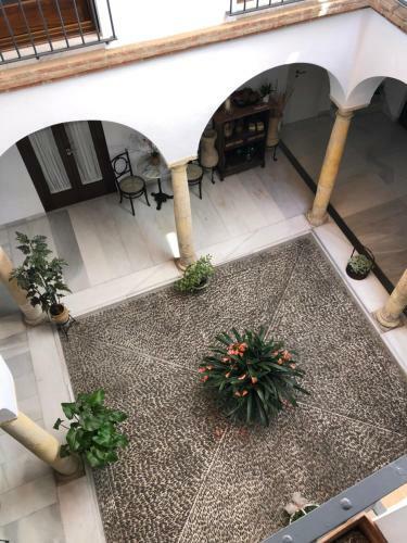 Apartamento Casa-patio Axerqu�a