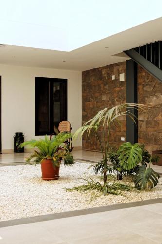 Apartamento El Sue�o de San Fernando (I)