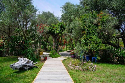 Hostal Olive Farm Of Datca Guesthouse