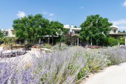 Amouda Villa 2