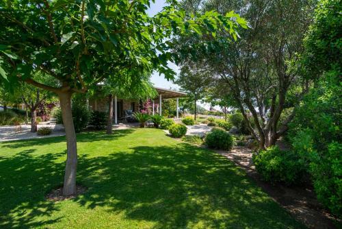 Amouda Villa 2