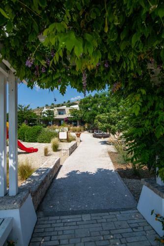 Amouda Villa 2