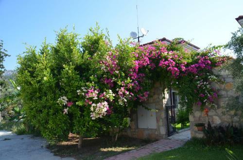 Villa Mercan Pension
