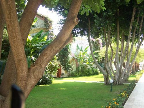 Hotel Club Boran Mare Beach