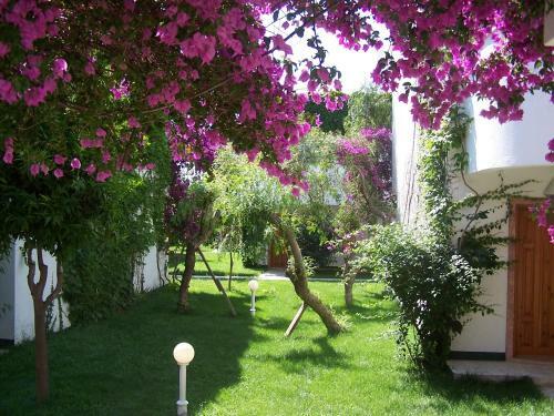 Hotel Club Boran Mare Beach