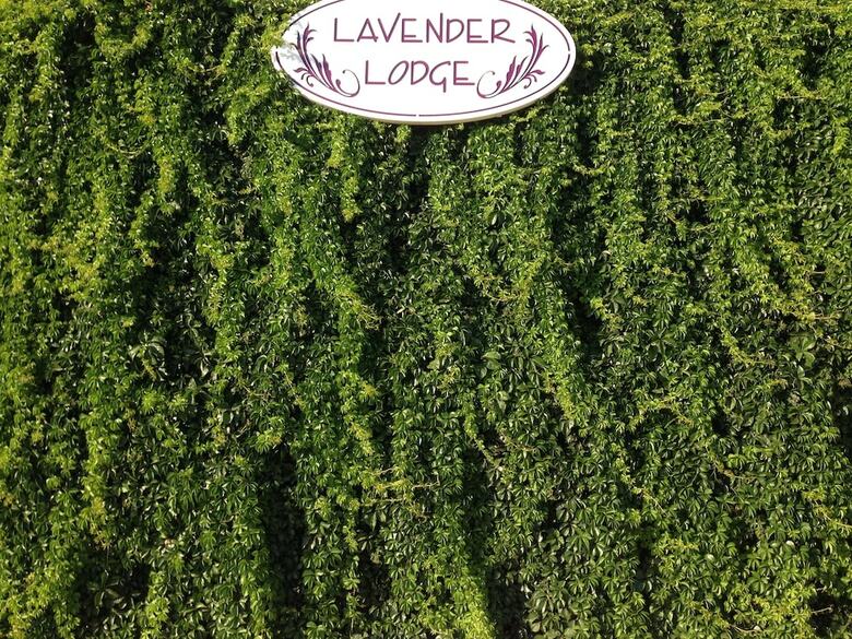 Bed & Breakfast Lavender's Lodge Hotel