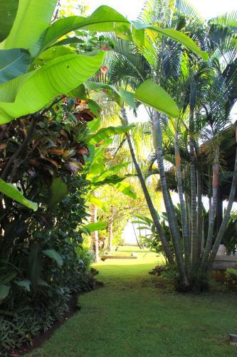 Beachfront Villa Jasmine Lovina