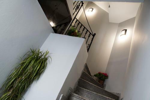 Apartamento El Pilar Home