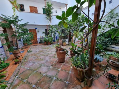 Apartamento Patio Cordob�s San Basilio