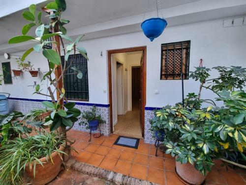Apartamento Patio Cordob�s San Basilio