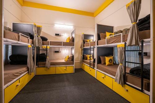 The Hosteller Kasar Devi