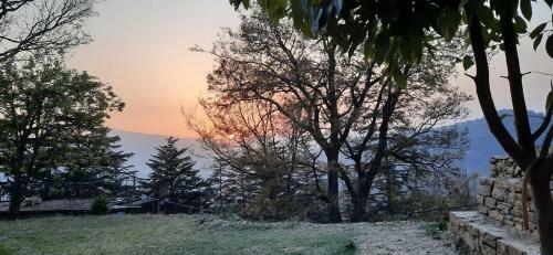Mkhomestay