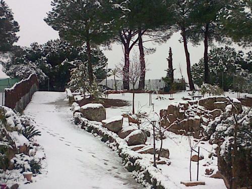 Caba�a De Madera Junto Al Lago Las Jaras