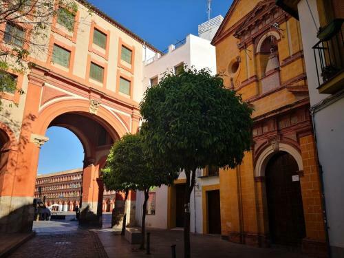 Apartamento Laura. Estancia Agradable En C�rdoba