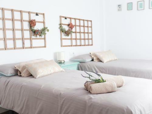 Apartamento Alfaros