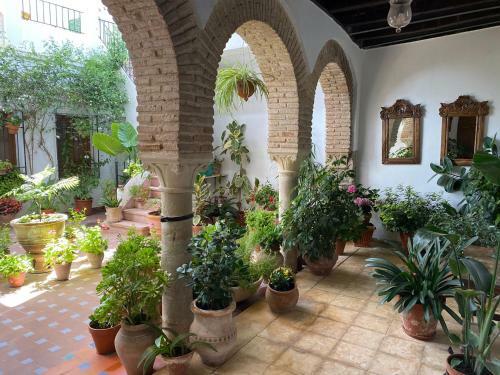 Apartamento El Patio De Regina