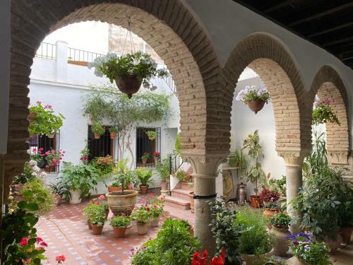 Apartamento El Patio De Regina