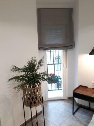 Apartamento Pleno Centro Wallada