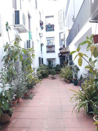 Apartamento Pleno Centro Wallada