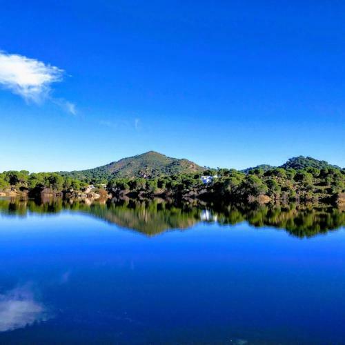 El Pinar Del Coto